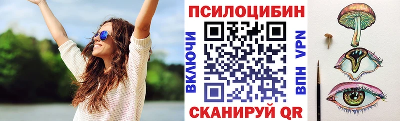 Галлюциногенные грибы Psilocybe  Купить где  Благодарный 